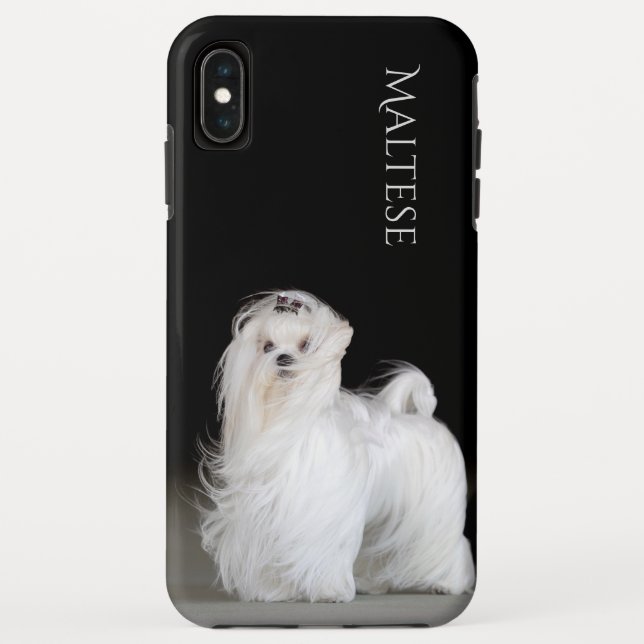 Capa Para iPhone, Case-Mate Cão maltês (Verso)
