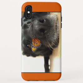 Capa Para iPhone XS Max Cão preto do laboratório com borboleta