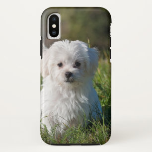 Capa Para iPhone Da Case-Mate Cãozinho branco bonito