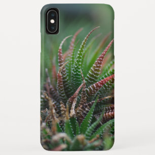 Capa Para iPhone Da Case-Mate Capa Case-Mate Barely There para iPhone XS Max