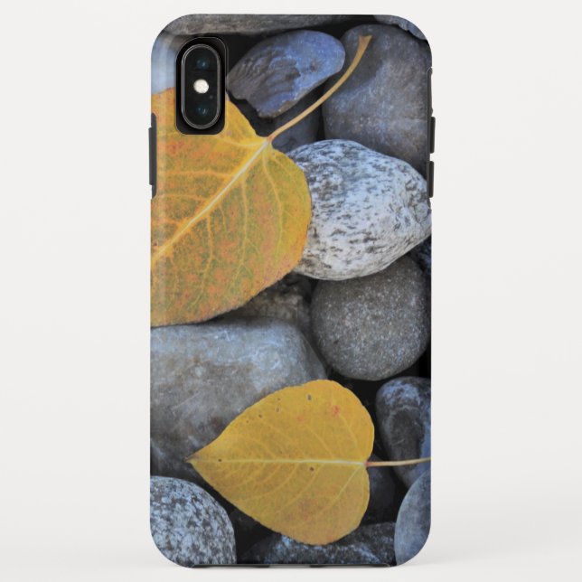Capa Para iPhone, Case-Mate Capa Case-Mate Tough para iPhone XS Max (Verso)