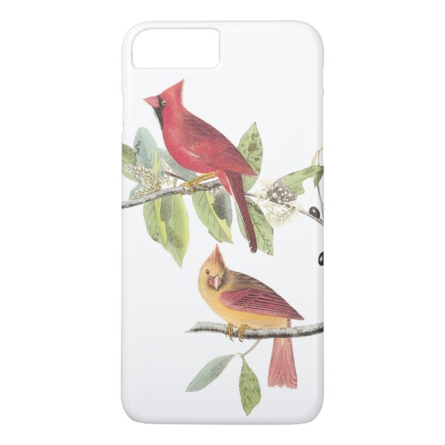 Capa Para iPhone, Case-Mate Cardeal de norte por Audubon (Verso)