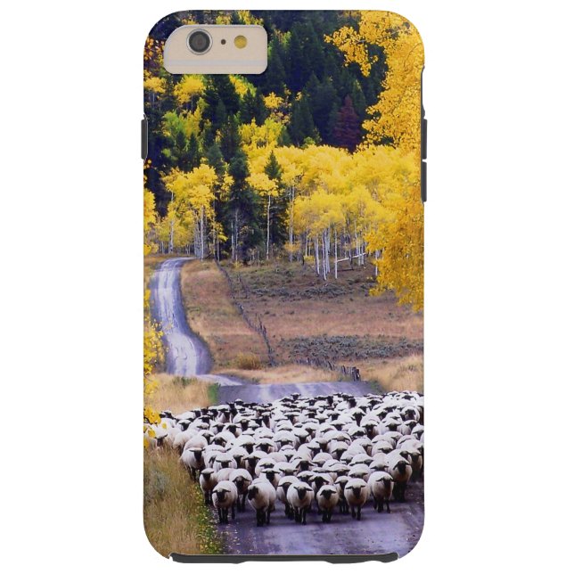 Capa Para iPhone, Case-Mate Carneiros na estrada secundária (Verso)