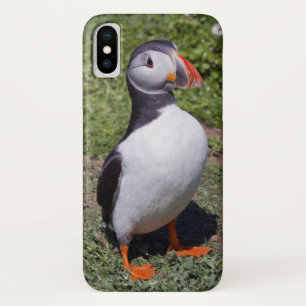 Capa Para iPhone Da Case-Mate Caso do iPhone X do papagaio-do-mar