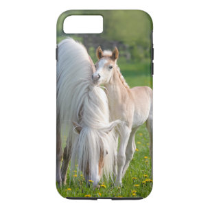 Capa Para iPhone Da Case-Mate Cavalos Haflinger Um Prato De Bebê Bonito Com Foto