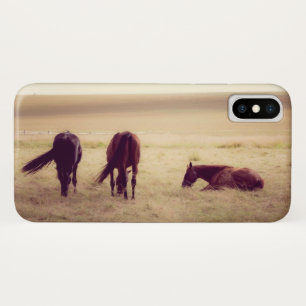 Capa Para iPhone X Cavalos no pasto 002