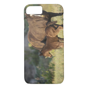 Capa Para iPhone Da Case-Mate Cavalos selvagens no Parque Nacional de Theodore R