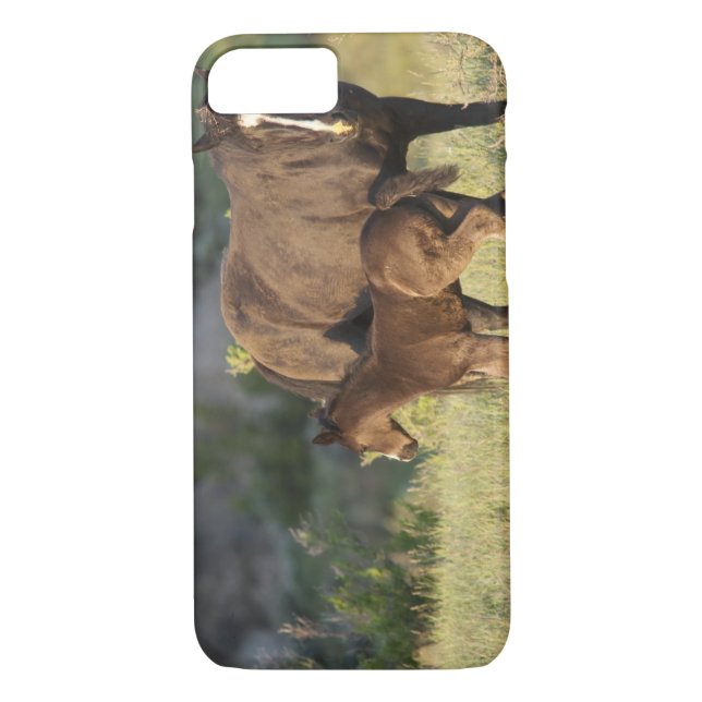 Capa Para iPhone, Case-Mate Cavalos selvagens no Parque Nacional de Theodore R (Verso)