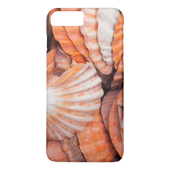 Capa Para iPhone, Case-Mate Chaves da Flórida, Key West, conchas marinhas (Verso)