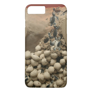 Capa Para iPhone Da Case-Mate Choque dos ovos da tartaruga do bebê