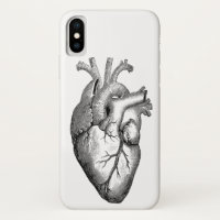 Ciência da anatomia do coração