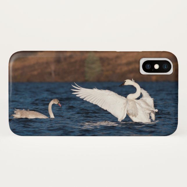 Capa Para iPhone, Case-Mate Cisne Flapping (Verso (Horizontal))
