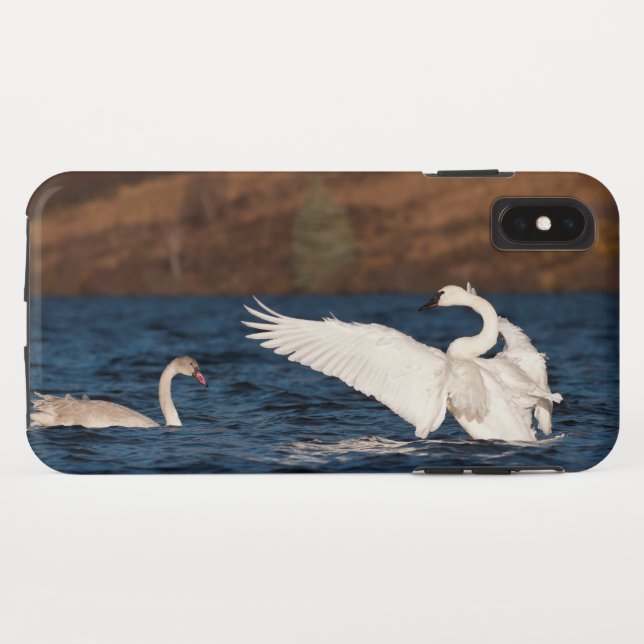 Capa Para iPhone, Case-Mate Cisne Flapping (Verso (Horizontal))
