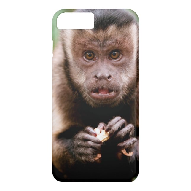 Capa Para iPhone, Case-Mate Close-up de um macaco capuchinho de cabeça preta (Verso)