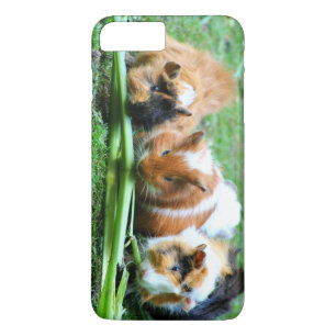 Capa iPhone 8 Plus/7 Plus cobaia abissina