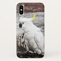 Cockatoo Enxofre-Com crista