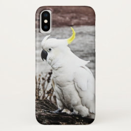 Capa Para iPhone X Cockatoo Enxofre-Com crista