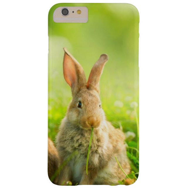 Capa Para iPhone, Case-Mate Coelhos da páscoa (Verso)