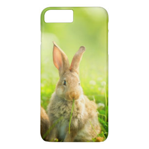 Capa iPhone 8 Plus/7 Plus Coelhos da páscoa