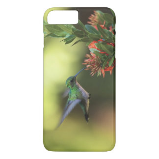 Capa Para iPhone Da Case-Mate Colibri