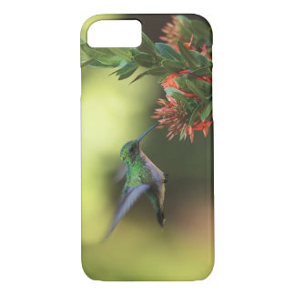 Capa Para iPhone Da Case-Mate Colibri