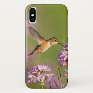 Capa Para iPhone X Colibri