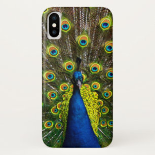 Capa Para iPhone Da Case-Mate Colorful peacock