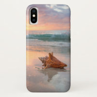 Conch Shell na praia | Jamaica