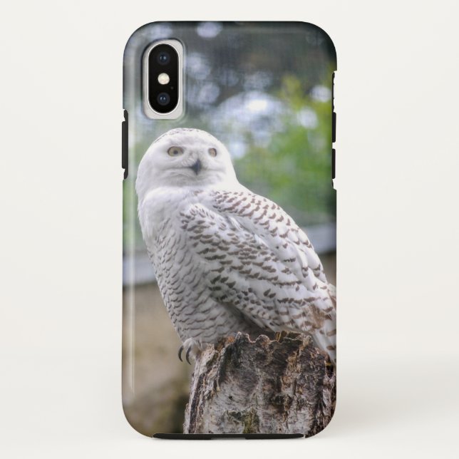 Capa Para iPhone, Case-Mate Coruja da neve... (Verso)