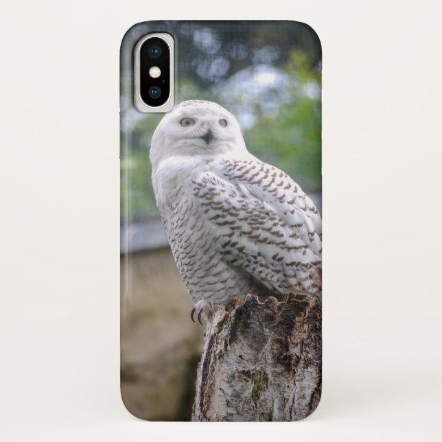 Capa Para iPhone, Case-Mate Coruja-das-neves (Verso)