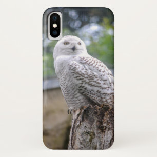 Capa Para iPhone X Coruja de neve