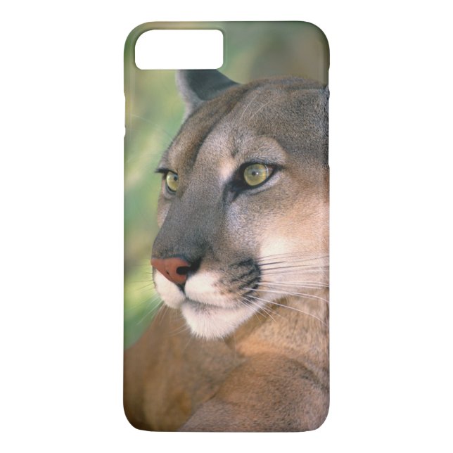 Capa Para iPhone, Case-Mate Cougar, Califórnia (Verso)