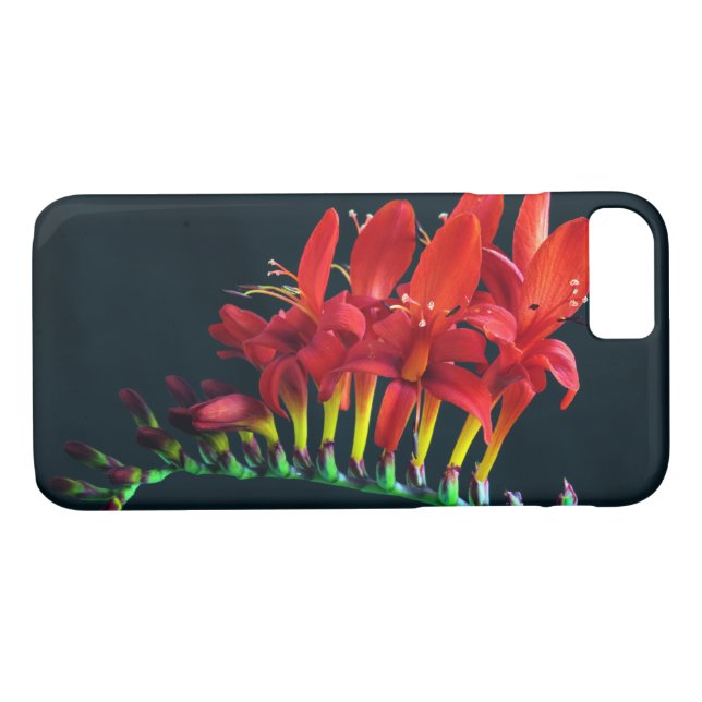 Capa Para iPhone, Case-Mate Crocosomia Lucifer Montbretia Floral (Verso (Horizontal))