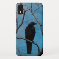 Crow No Bonito Aqua