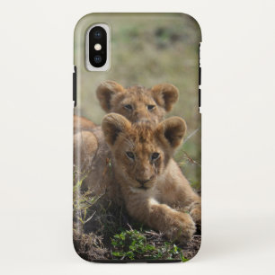 Capa Para iPhone Da Case-Mate Cubs de Leão Africano Selvagem