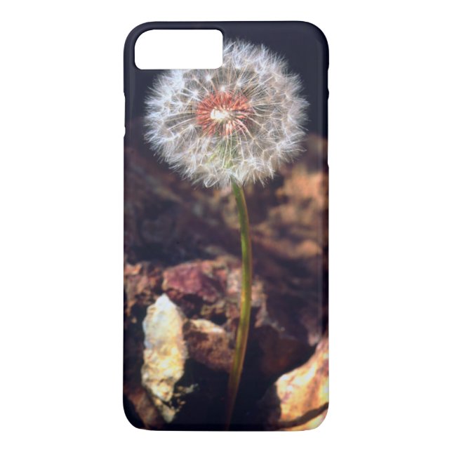 Capa Para iPhone, Case-Mate Dente-de-leão (Verso)