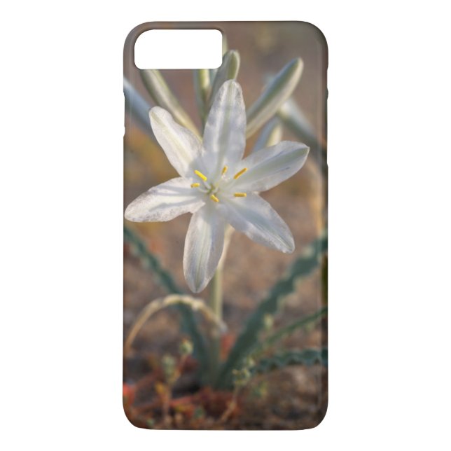 Capa Para iPhone, Case-Mate Deserto Lily Wildflower (Verso)