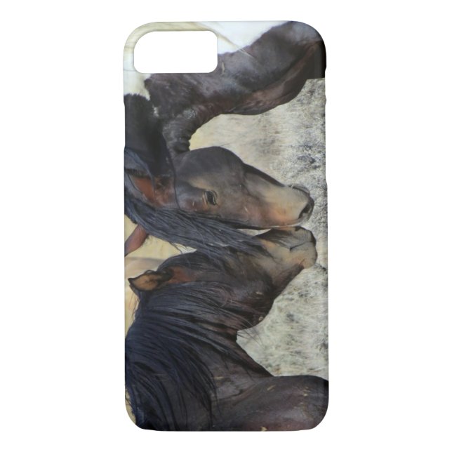 Capa Para iPhone, Case-Mate Dois Cavalos Selvagens Marrons Nuzzling (Verso)