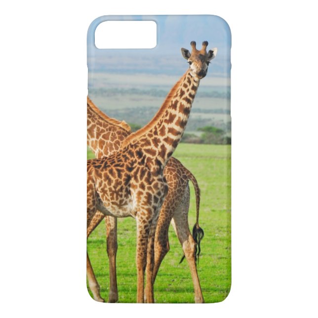 Capa Para iPhone, Case-Mate Dois girafas (Verso)