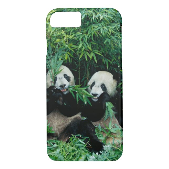 Capa Para iPhone, Case-Mate Dois pandas comendo bambu juntos, Wolong (Verso)
