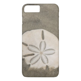 Capa iPhone 8 Plus/7 Plus Dólar de areia (Echinarachnius parma)