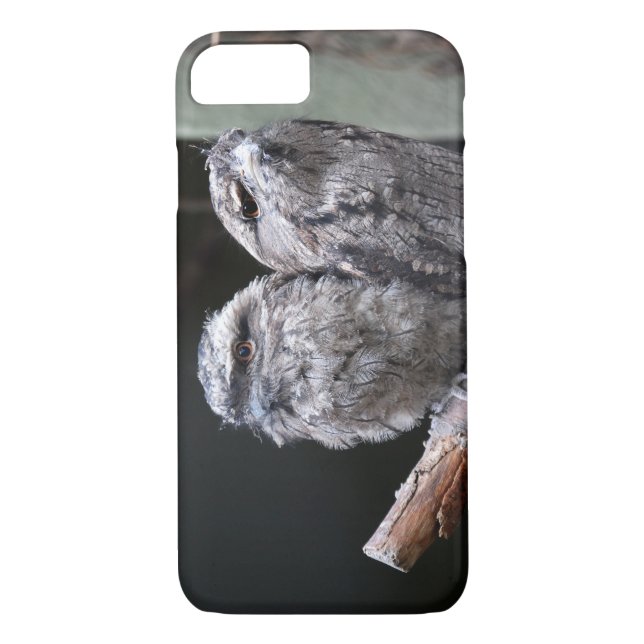 Capa Para iPhone, Case-Mate Duas Aves de Frogmouth Tawny (Verso)