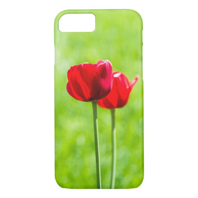 Capa Para iPhone, Case-Mate Duas flores de tulipa vermelha (Verso)