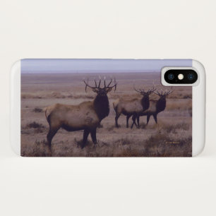 Capa Para iPhone Da Case-Mate E19 Alce Macho Tinas Duplas Caídas