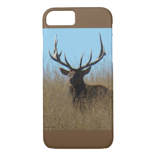 Capa Para iPhone, Case-Mate E26 Elk Bull Elk in the Weeds (Verso)