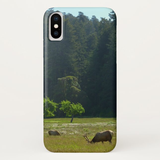 Capa Para iPhone, Case-Mate Elk Meadow no Parque Nacional Redwood (Verso)
