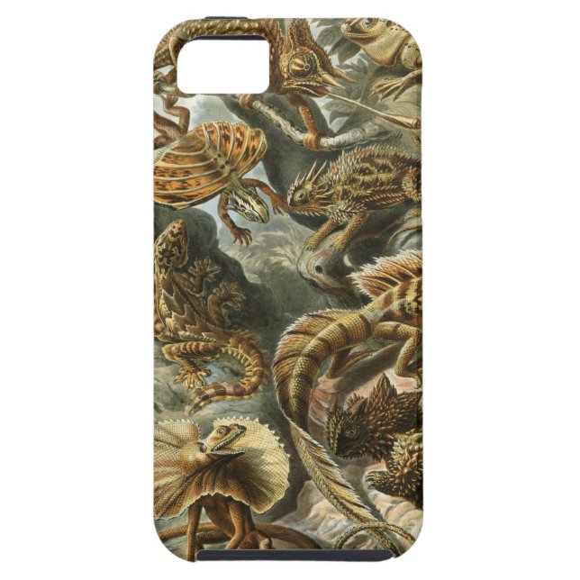 Capa Para iPhone, Case-Mate Ernst Haeckel - Lacertilia (Traseira)