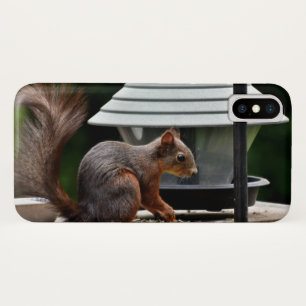 Capa Para iPhone Da Case-Mate Esquilo no alimentador de aves