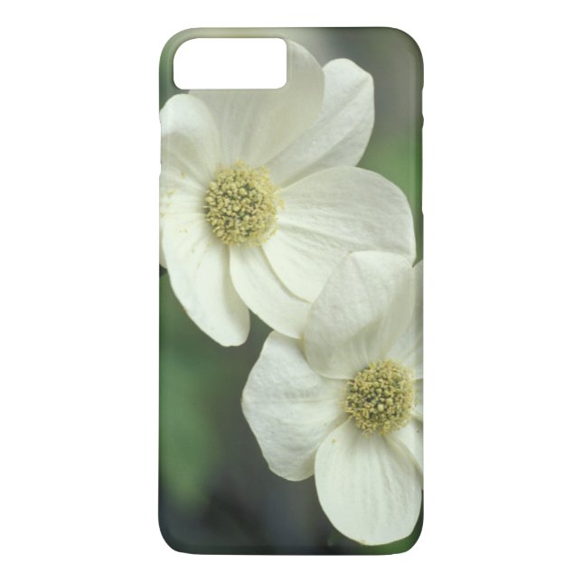 Capa Para iPhone, Case-Mate EUA, Califórnia, Yosemite NP, ao longo do Merced (Verso)