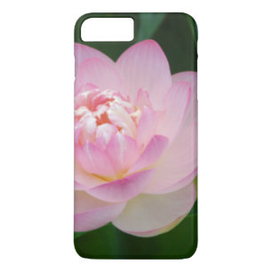 Capa Para iPhone Da Case-Mate EUA, Kansas, Pink Water Lilly